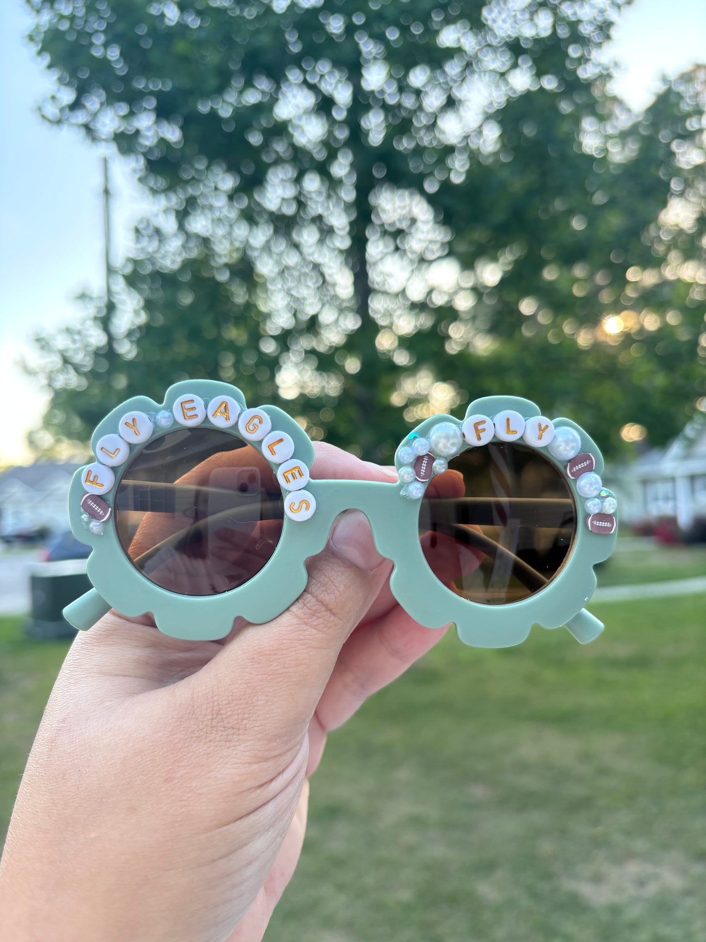 Fly Eagles Fly Glasses 🦅